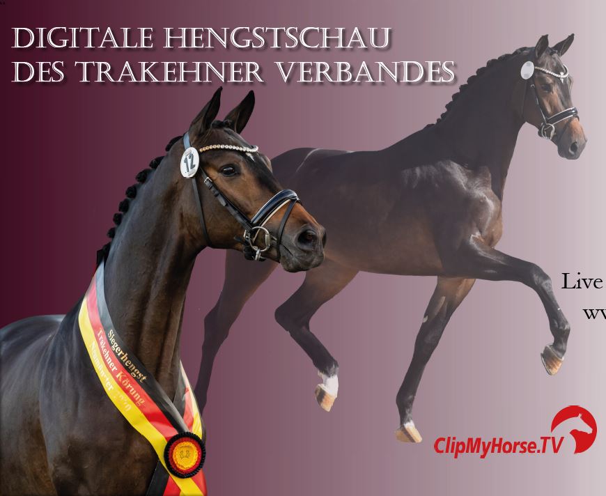 Digitale-Hengstschau