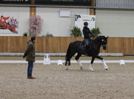 Dressursichtung-Riesenbeck-Foto-Mechthild-Reitz-500×333