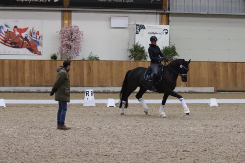 Dressursichtung-Riesenbeck-Foto-Mechthild-Reitz-500×333