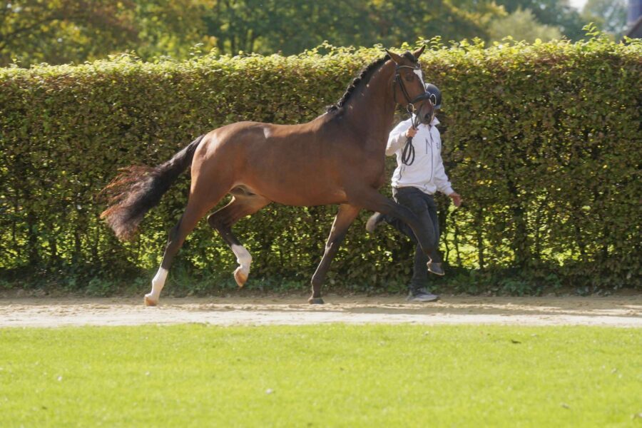 462545724_1807746726712472_4945462203840260079_n