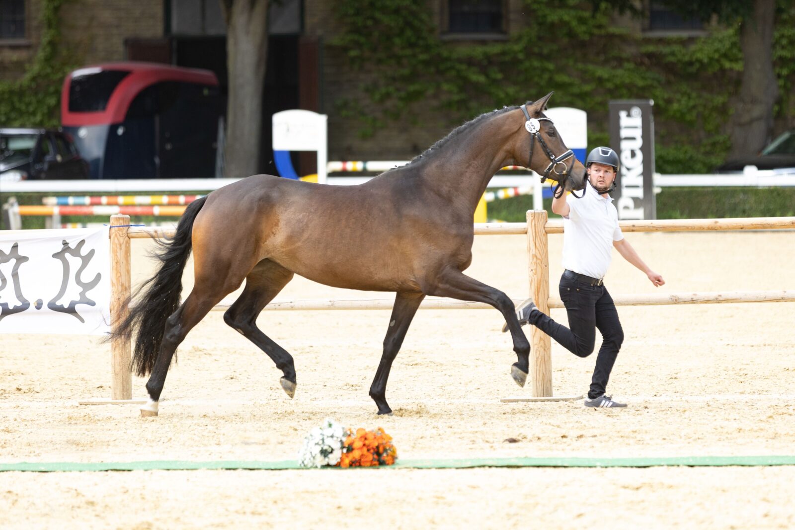 NRW25 ZSE 85 Supertime WH Gaspard ©Dusterwald (6)