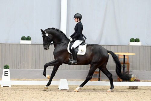 irtenstern von v. Hirtentanz-Impetus (Z.: Ralf Budt, B.: Dancestar Ltd.) unter Nathalie Kohler, Foto Dr. Peter Richterich