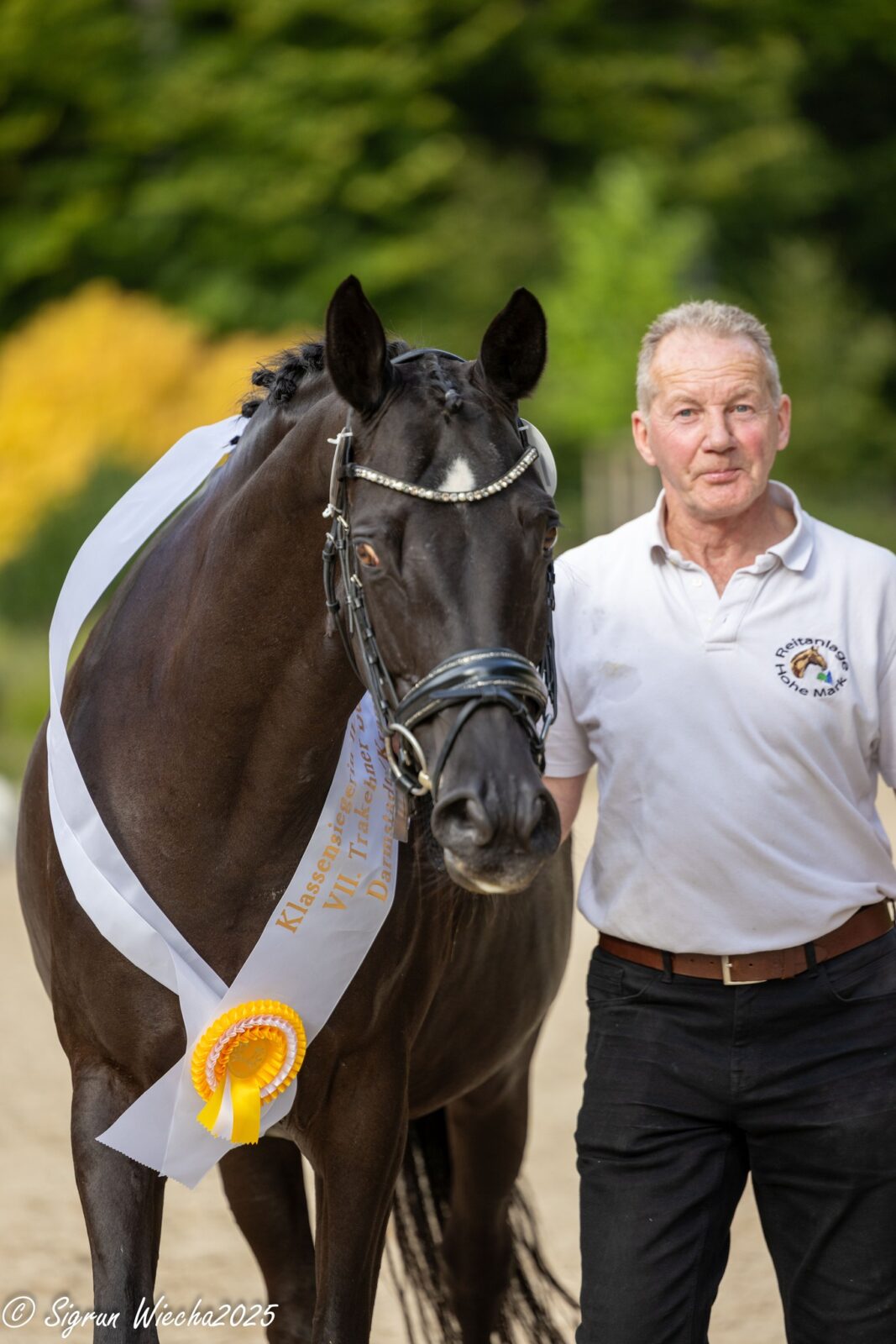 557639607_4260029370921509_5021005745224130983_n