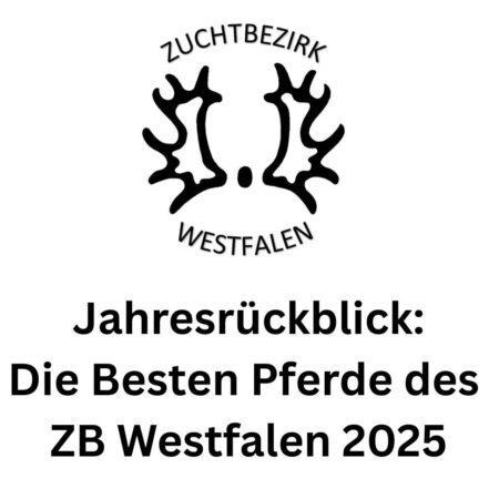 St.Pr.u.Pr.St. It’s Pretty WH , geb. 2008 von Insterburg, Z.u.B. Jutta Wassermann, Schwerte – 1
