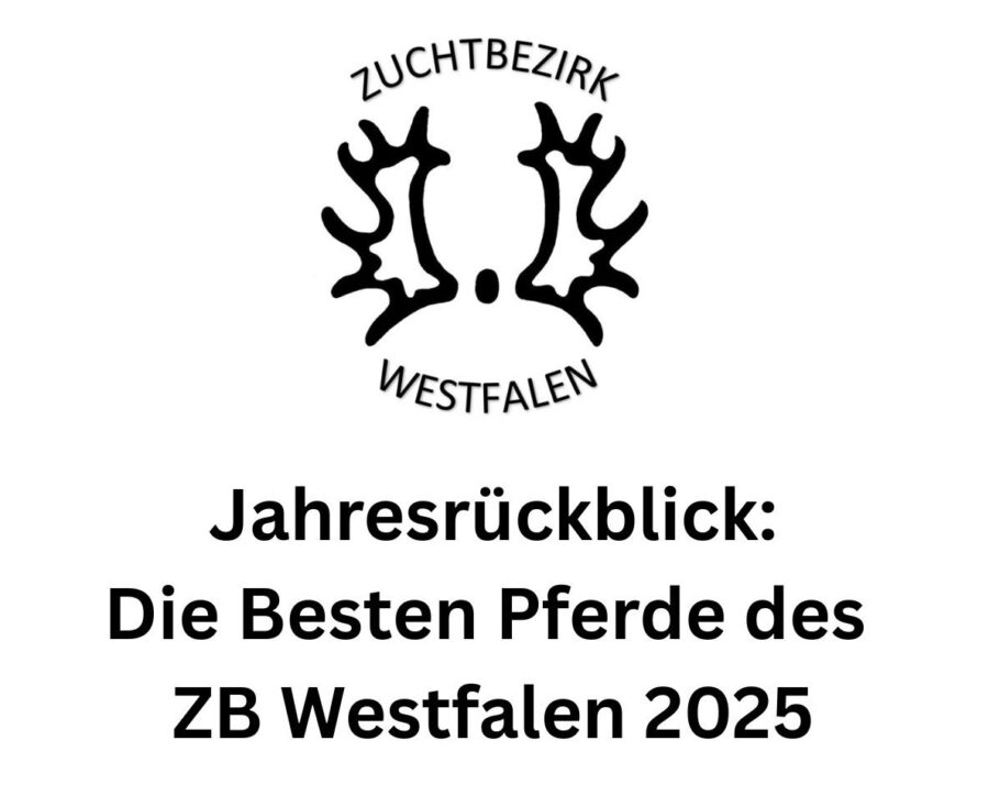 St.Pr.u.Pr.St. It’s Pretty WH , geb. 2008 von Insterburg, Z.u.B. Jutta Wassermann, Schwerte – 1