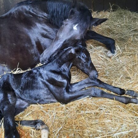 488633475_1254308119625947_606913248206956797_n